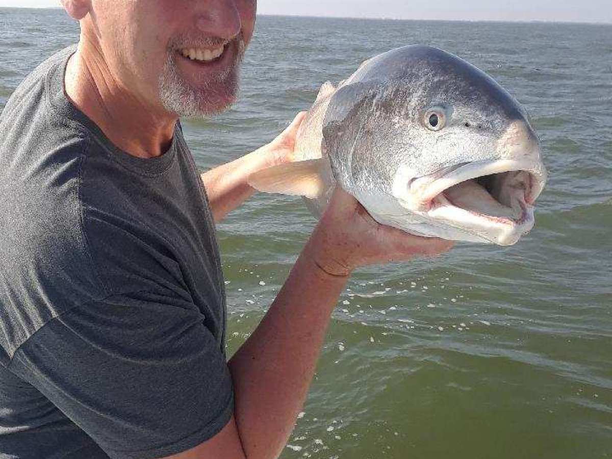 a man holding a fish in the water