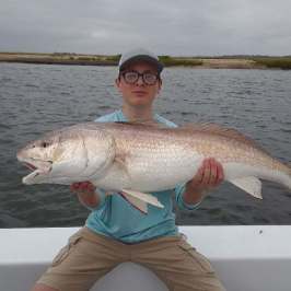 a person holding a fish in the water