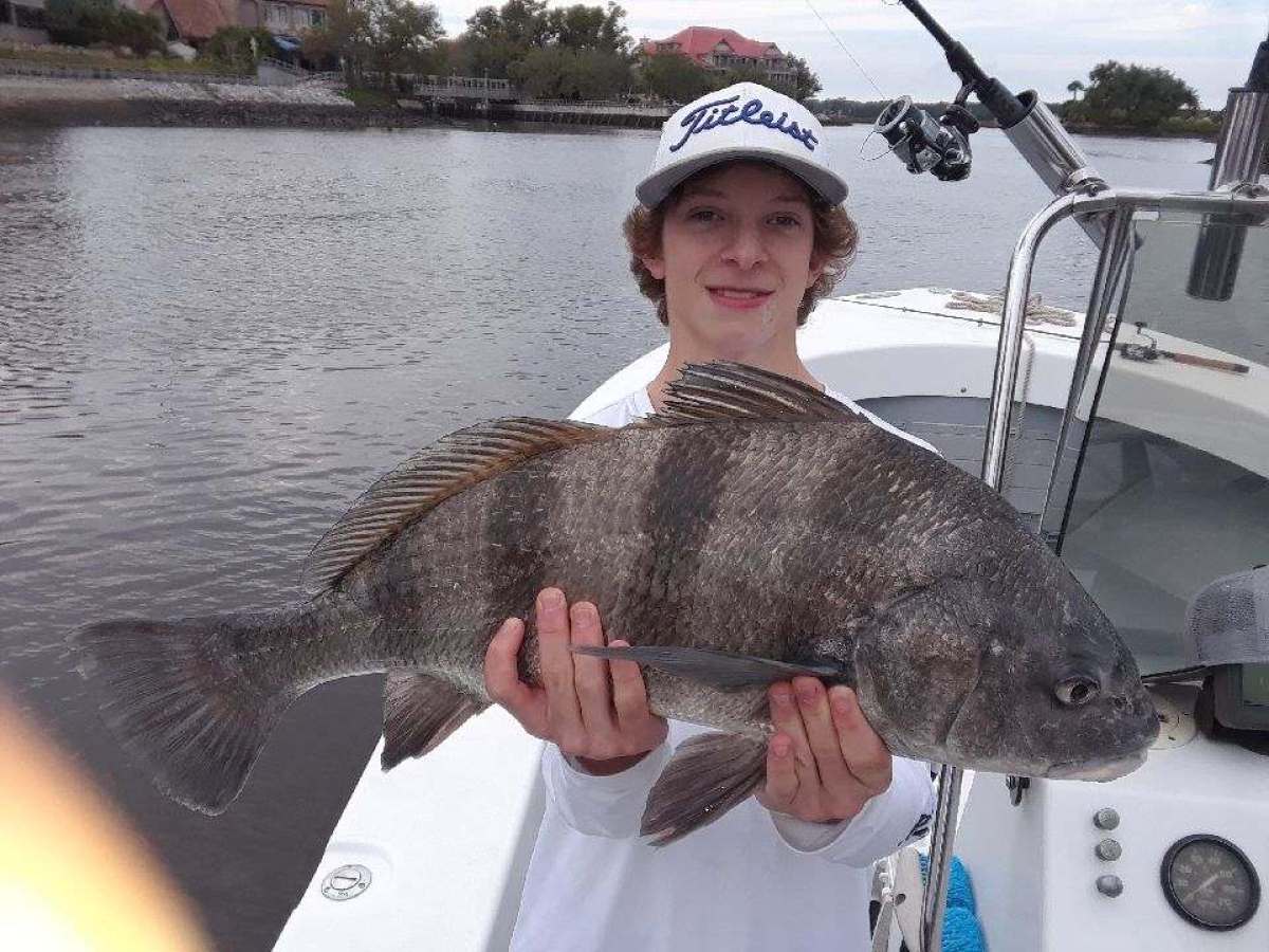 a person holding a fish on a boat in the water