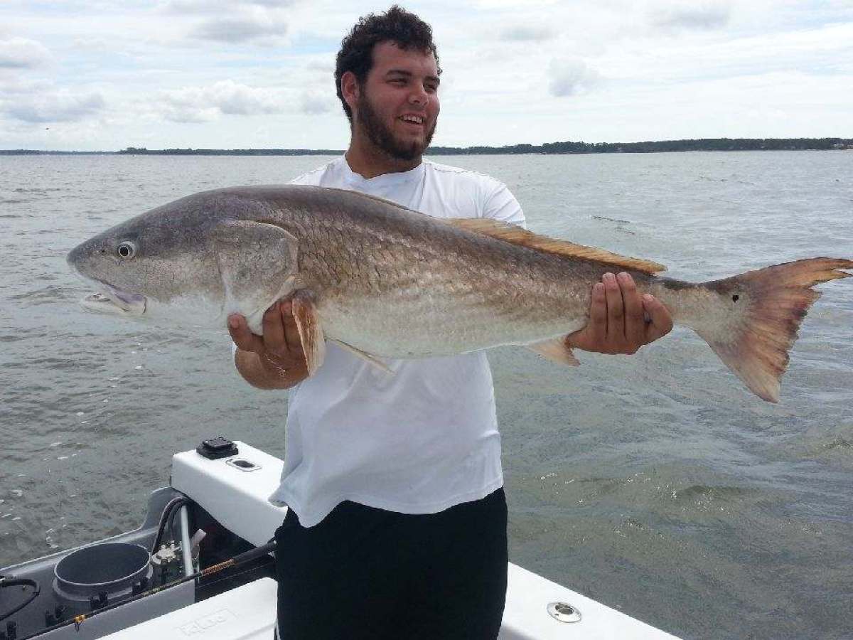 a man holding a fish in the water